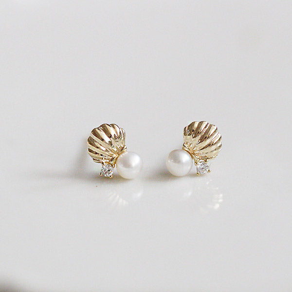 925 sterling silver tiny shell scallop conch starfish cartilage stud earrings (5 pairs)