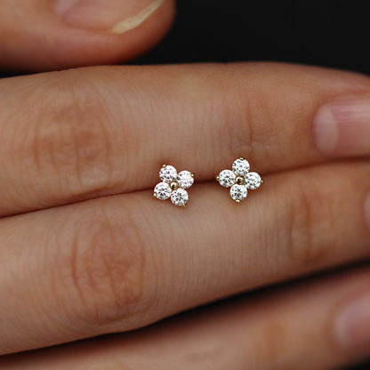 925 silver tiny lucky Four-leaf zircon flower stud earrings (5 pairs)